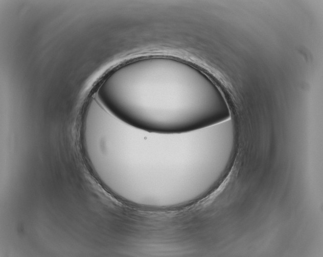 X0000113161502200909040942