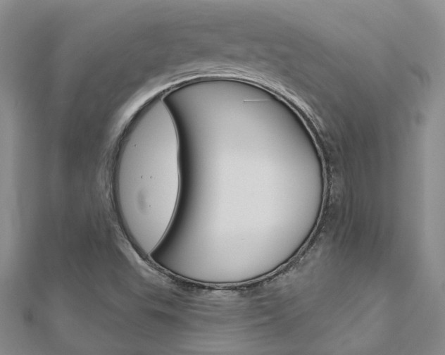 X0000113161503200909040942