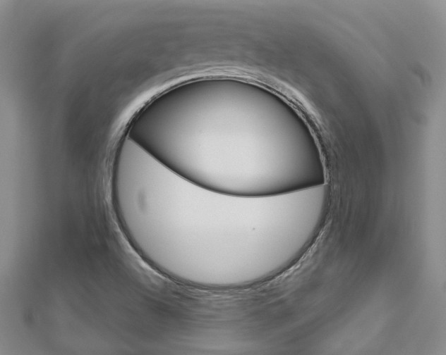 X0000113161504200909040942