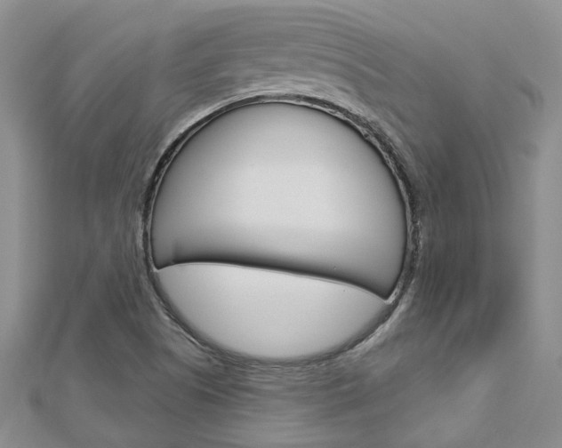 X0000113161505200909040942