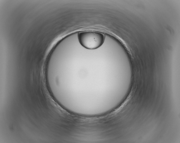 X0000113161506200909040942