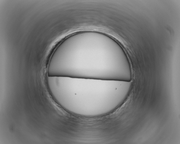 X0000113161507200909040942