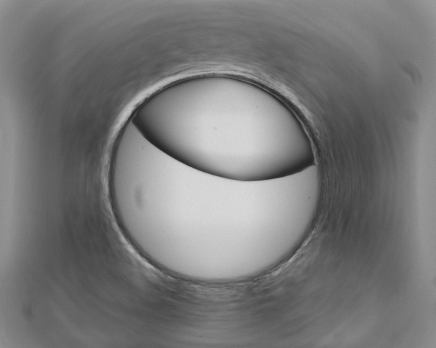 X0000113161508200909040942