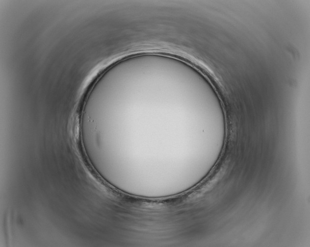 X0000113161509200909040942