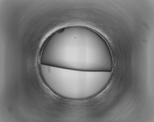 X0000113161510200909040942