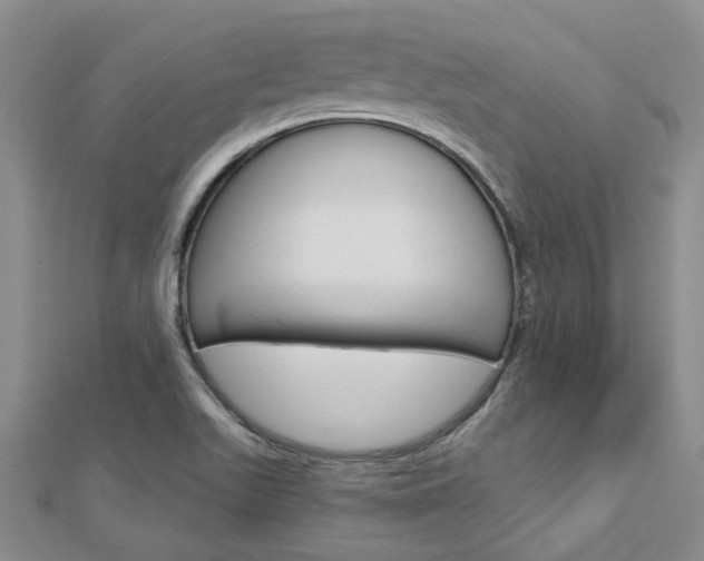 X0000113161511200909040942