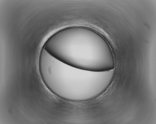 X0000113161512200909040942