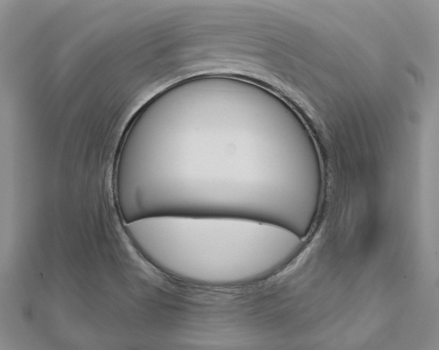 X0000113161513200909040942