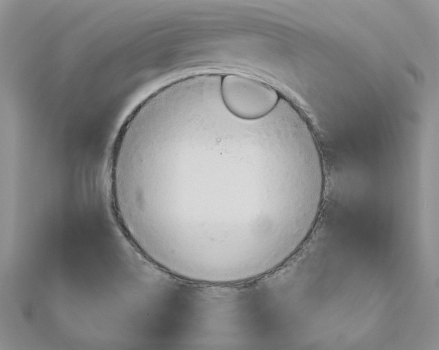X0000113161514200909040942