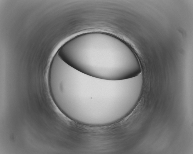 X0000113161516200909040942