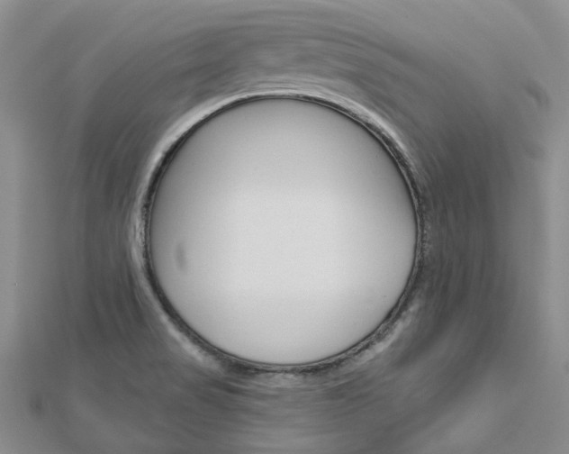 X0000113161517200909040942
