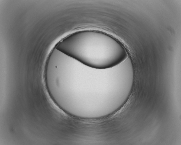 X0000113161518200909040942