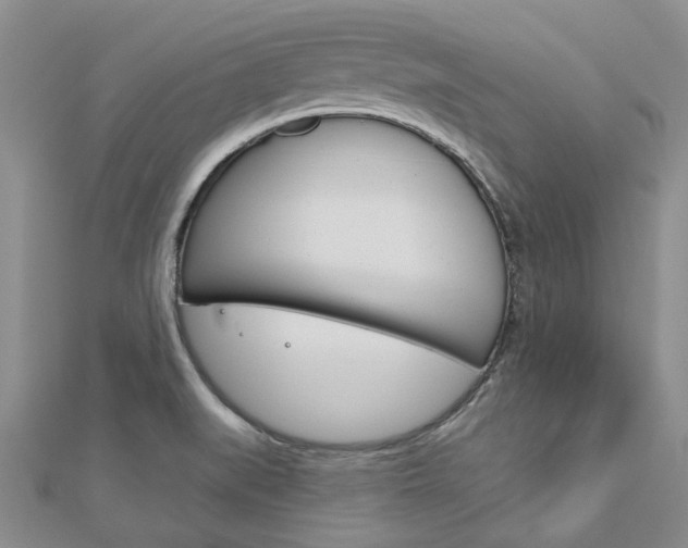 X0000113161519200909040942