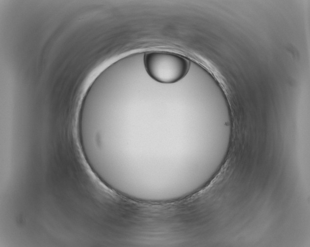 X0000113161520200909040942