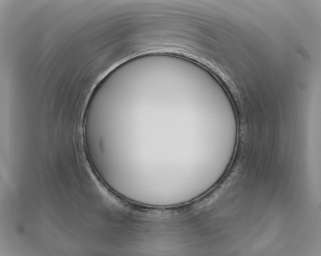 X0000113161521200909040942