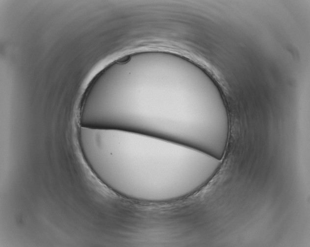 X0000113161522200909040942