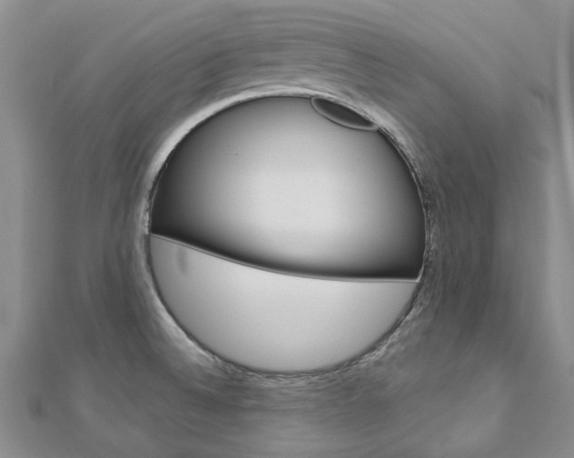 X0000113161524200909040942