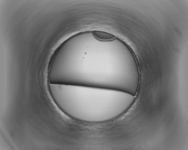 X0000113161525200909040942