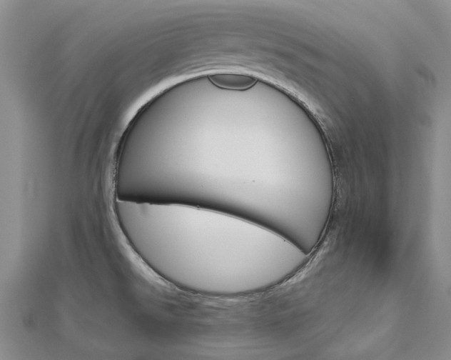 X0000113161526200909040942