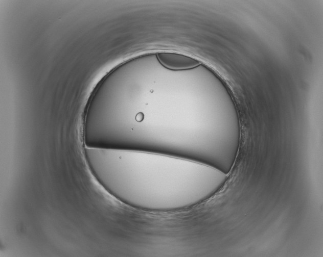X0000113161527200909040942