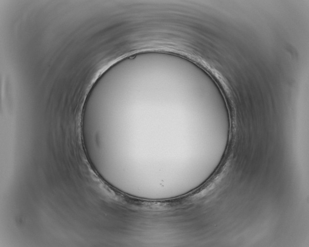 X0000113161529200909040942