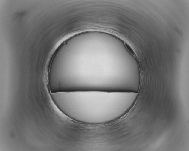 X0000113161531200909040942