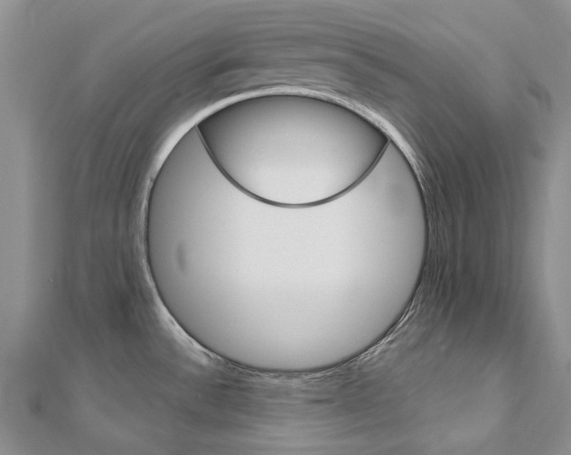 X0000113161532200909040942