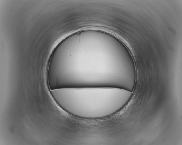 X0000113161533200909040942