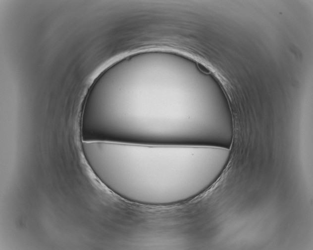 X0000113161534200909040942
