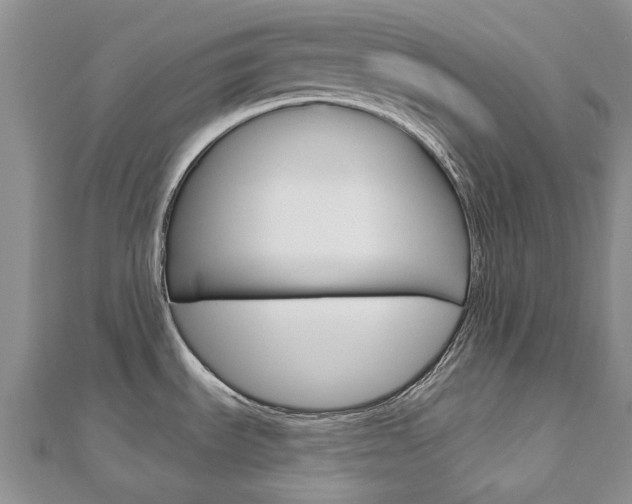 X0000113161535200909040942