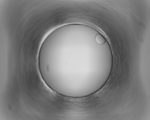X0000113161536200909040942