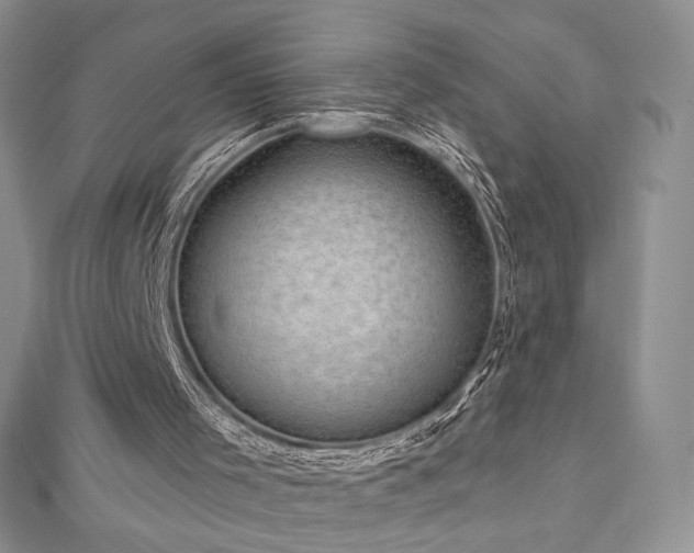 X0000113160001200909041305