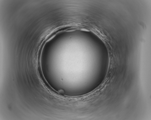 X0000113160002200909041305