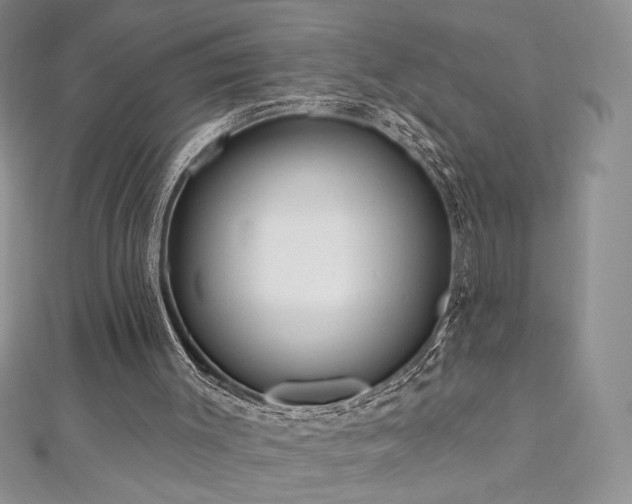 X0000113160003200909041305