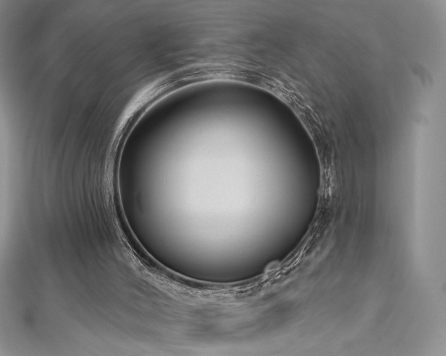 X0000113160004200909041305