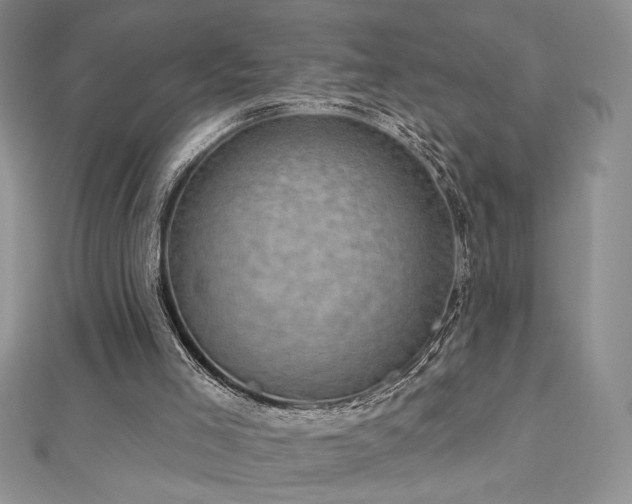 X0000113160005200909041305