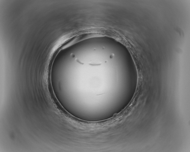 X0000113160006200909041305