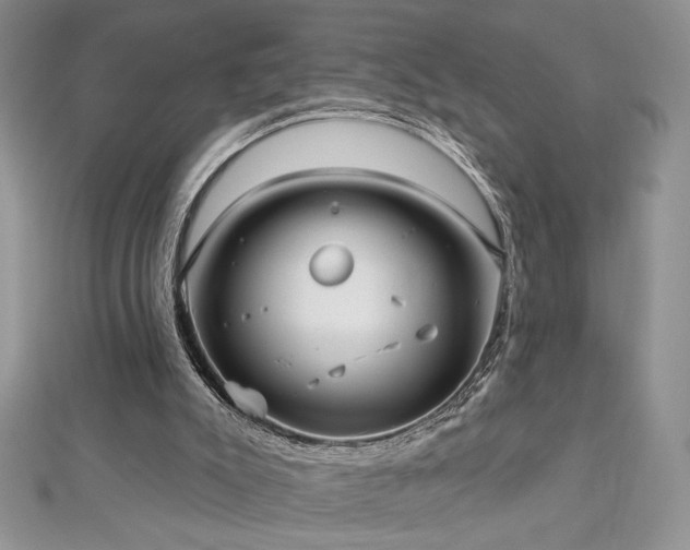 X0000113160007200909041305