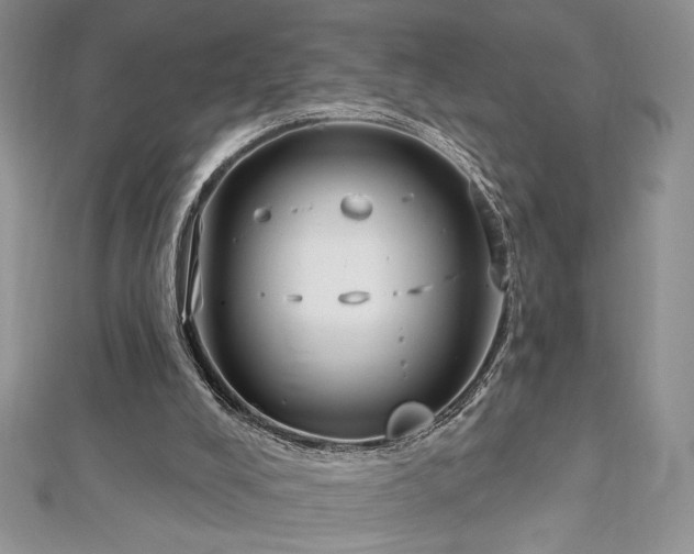 X0000113160008200909041305