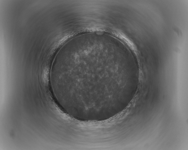 X0000113160009200909041305