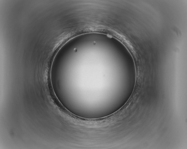 X0000113160010200909041305