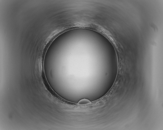 X0000113160011200909041305