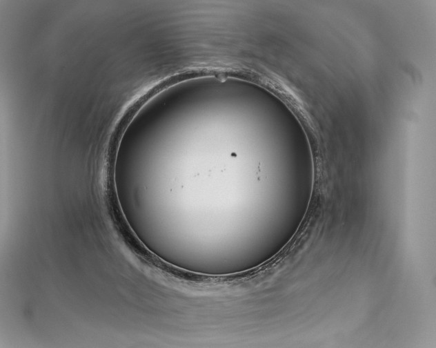 X0000113160012200909041305