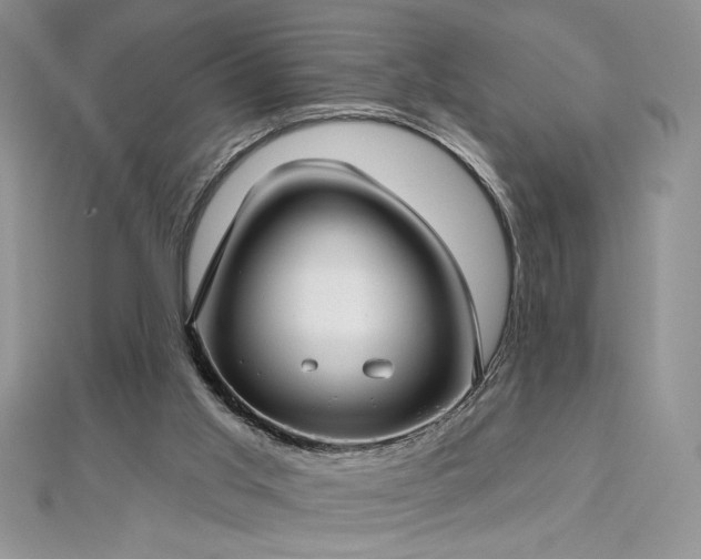 X0000113160013200909041305