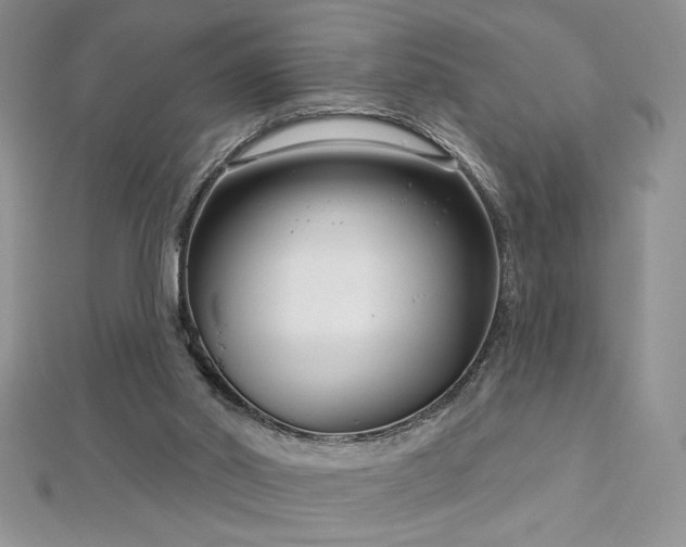 X0000113160014200909041305