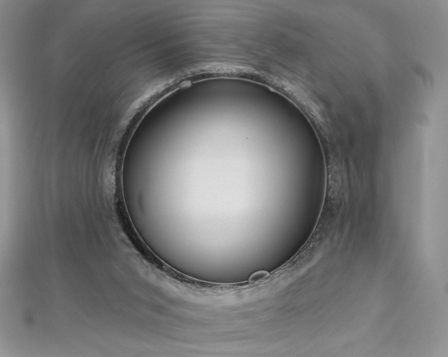 X0000113160015200909041305