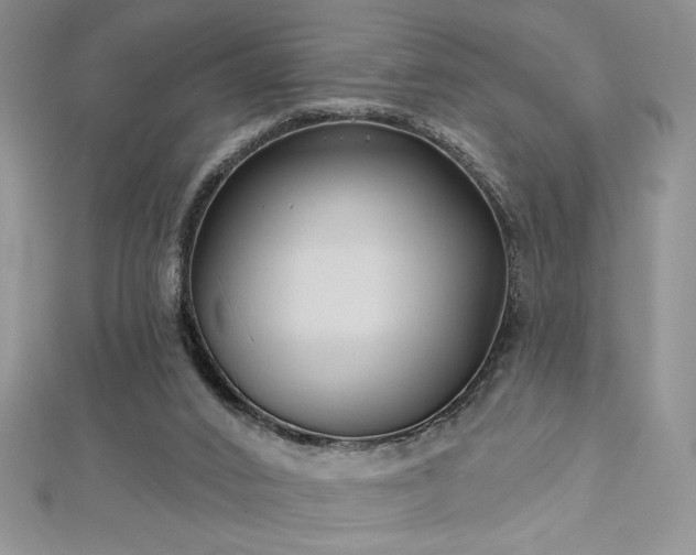 X0000113160016200909041305