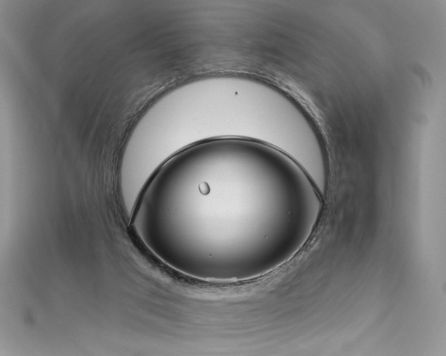 X0000113160017200909041305