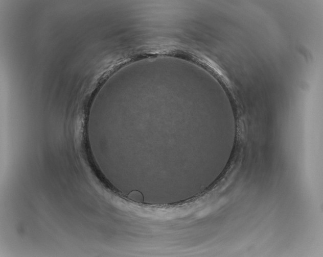 X0000113160018200909041305