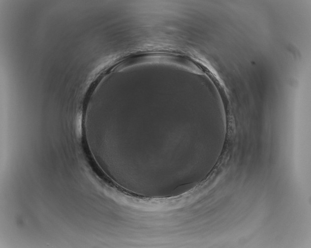 X0000113160019200909041305